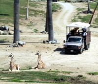 San Diego Zoo Safari Park